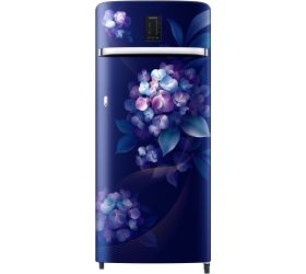 SAMSUNG 215 L Direct Cool Single Door 3 Star Refrigerator Hydrangea Blue, RR23C2E23HS/HL image