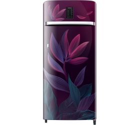 SAMSUNG 215 L Direct Cool Single Door 5 Star Refrigerator Paradise Bloom Purple, RR23C2E359R/HL image