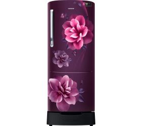 Samsung 230 L Direct Cool Single Door 3 Star 2020 Refrigerator with Base Drawer Camellia Purple, RR24T285YCR/NL image